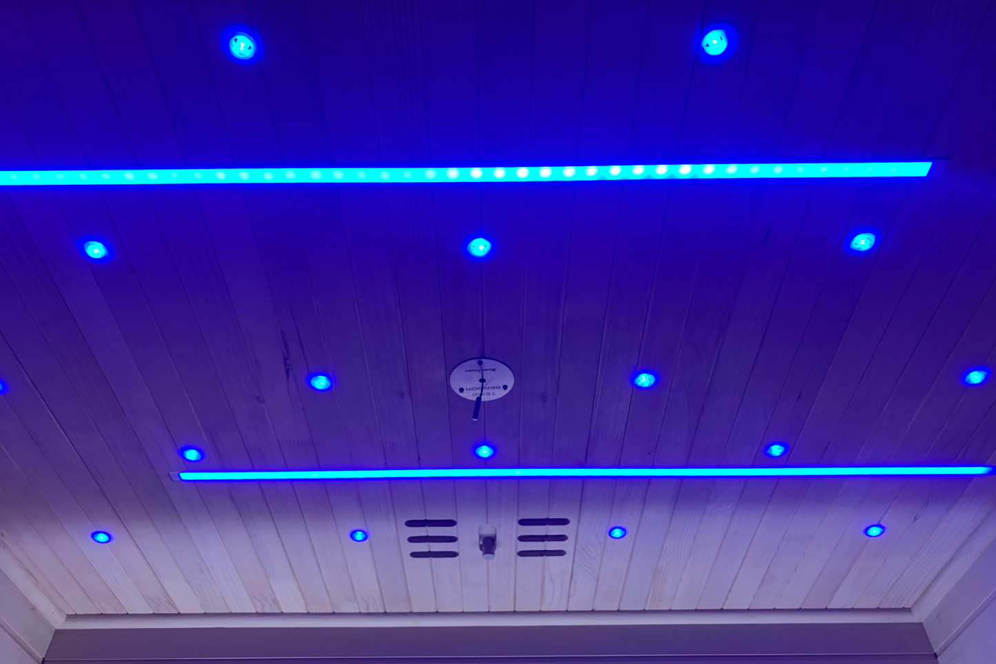Blisspod Bergen Full Spectrum Indoor Sauna – Red Light Therapy 2-Person