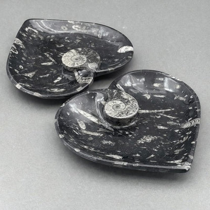 Orthoceras Heart plate with Ammonite (1 Piece)