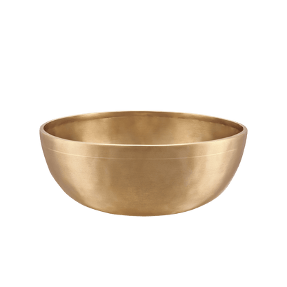 Chakra Metal Singing Bowl Set - 7 Handmade Sound Healing Bowls